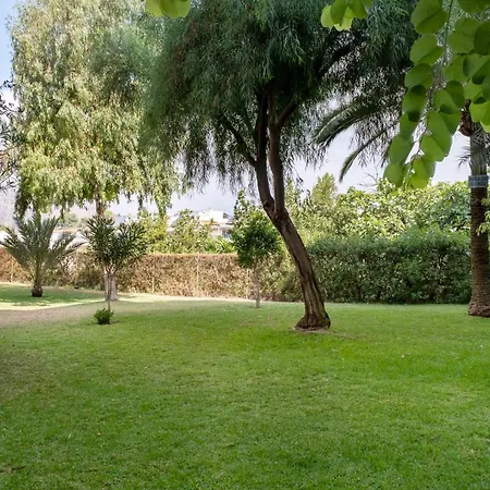 Estudio Miramar